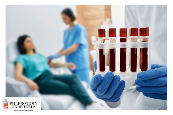 Expert Support for Accurate Sample Collection